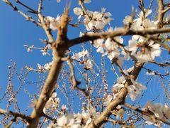 -野鸭湖国家湿地公园