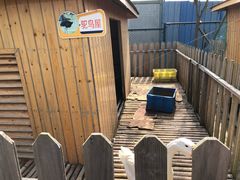 -上海崇明金茂凯悦酒店