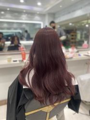 -镁连社·美联社