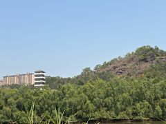 -大亚湾红树林城市湿地公园