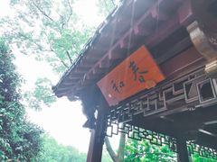 -西湖游船