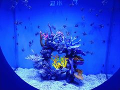 -上海海昌海洋公园