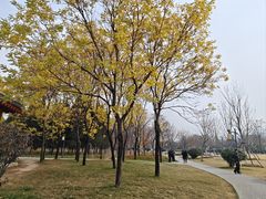 -咸阳湖景区