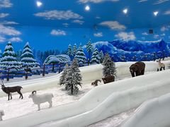 -世界之窗阿尔卑斯冰雪世界