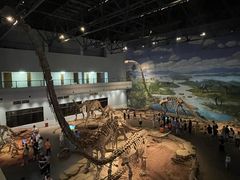 -自贡恐龙博物馆