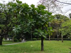 -晓港公园