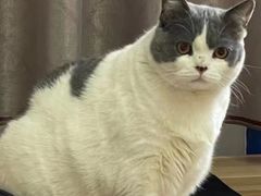 -佳雯宠物医院·皮肤科·内外科(春晓路分院)