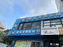 -康成宠物医院24H·CT·核磁共振