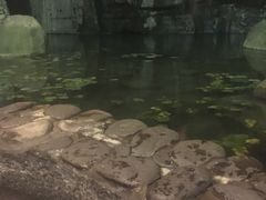 -明月山天沐温泉度假村