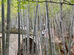 -敬亭山风景名胜区