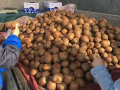 -关中道陕味艺术餐厅(西岳庙店)
