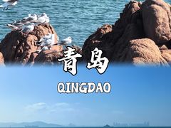 -青岛海滨风景区小青岛