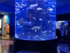 -成都浩海立方海洋公园