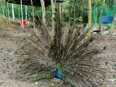 -广州白江湖森林公园