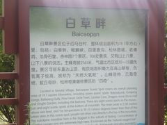 -白草畔自然风景区