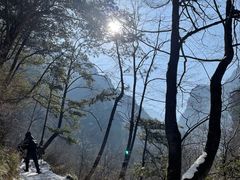 -青峰峡国家森林公园