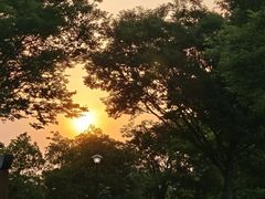 -汤山公园