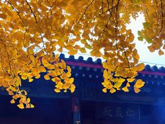 -红螺寺