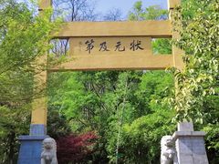-老山国家森林公园
