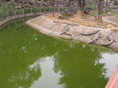 -石家庄市动物园