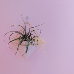 -米小兔美甲美睫