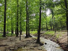 -白水寺森林公园