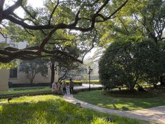 -上海兴国宾馆香樟园西餐厅