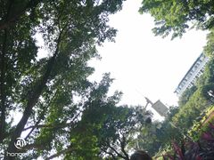 -天河儿童公园