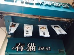 -猫咪博物馆(顶澳仔猫街店)