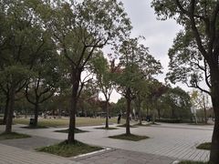 -新江湾城公园