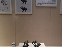 -张掖市博物馆