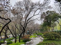 -环城公园