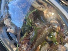 -大锅强·蒸海鲜青岛菜(金沙滩店)