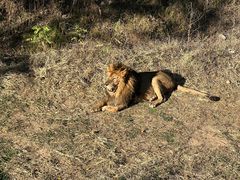 -青岛森林野生动物世界