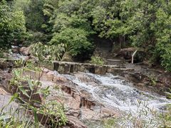 -广州白江湖森林公园