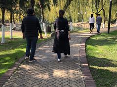 -后襄河公园