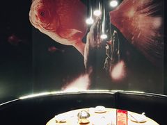 -老板恋上鱼(印象城店)