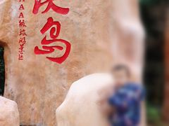 -东澳岛