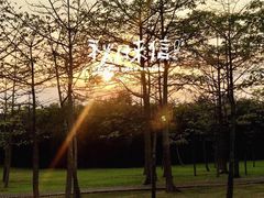 -松山湖南湖湾露营营地