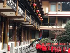 -都江堰普照寺