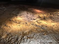 -世界恐龙谷景区