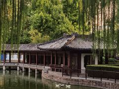 -团结湖公园