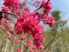 -黄公望隐居地