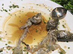 -生态苑农庄(十里画廊遇龙河店)