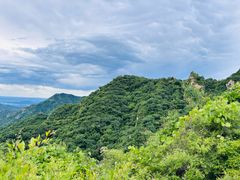 -大岭沟猕猴桃谷风景区
