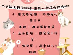 -lincat·猫舍(广州店)