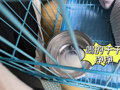 -翊宠yipet猫狗购宠庄园犬舍•猫舍