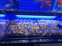 -五月罗马海鲜烤肉自助餐厅(印象城店)