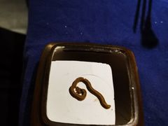 -桂语山房(满觉陇店)