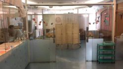 -杰爱月子护理中心